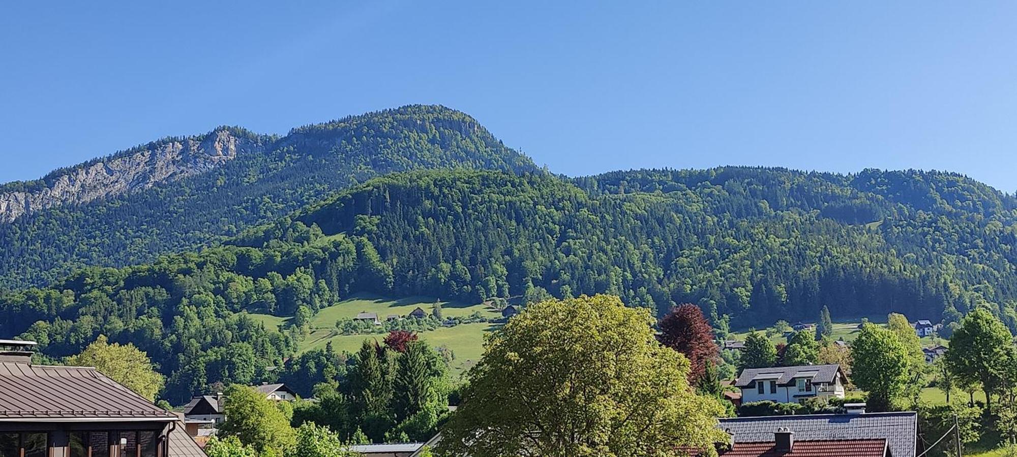 Sofias Apartment Bad Goisern Dış mekan fotoğraf
